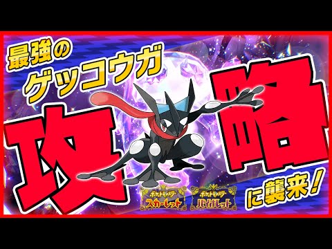 【参加型】勝てない人集まれ！最強ゲッコウガを周回します！【ポケットモンスター スカーレット・バイオレット/SV】