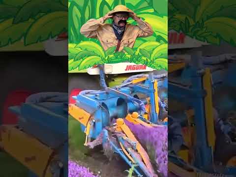 Walter Reacts to Amazing Machines Harvesting Food