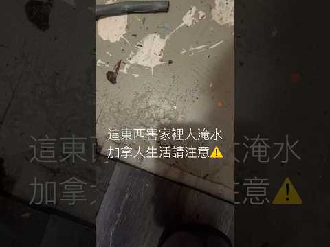 “Sump pump” 塞住家裡大淹水欲哭無淚啊啊啊！細節看留言👇#加拿大 #加拿大生活 #多倫多 #海外生活 #海外留学 #留学 #留学生 #加拿大移民 #移民 #留學 #留學vlog