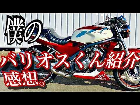 【愛車】僕のバリオスくん紹介と感想。【zr250a】