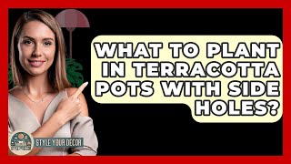 What To Plant In Terracotta Pots With Side Holes? - Style Your Decor