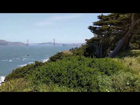 Golden Gate Sea View