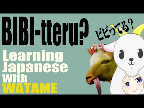 "You're SCARED?"  Learning Japanese with WATAME【hololive】