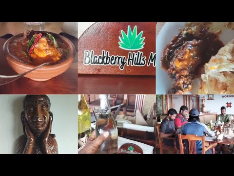 MUNNAR TRIP STARTING (DAY-1) AFTER NOON FOOD VIDEO AT BLACK BERRY HORN BILL RESTAURANT @LPNVLOGS