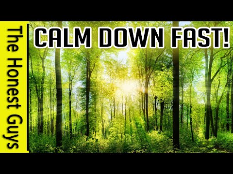 "White Light Calming" Quick Calm-Down For Stressful Situations (Guided Meditation)