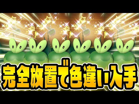 【革命】ついに完全放置でレアな色違いがGETできる時代が来ました！【ポケットモンスター スカーレット・バイオレット/SV】色違いカジッチュ