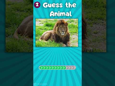 "How Good Is Your Knowledge of Animals? 🐾 Test Yourself Now!"|The Quiz Show