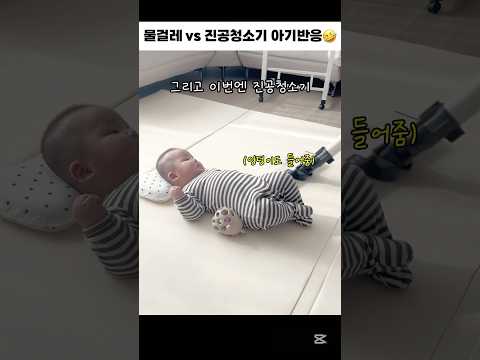 물걸레 vs 진공청소기 아기반응🤣 #babyshorts #baby #5개월아기 #청소기 #물걸레 #아기반응 #cute