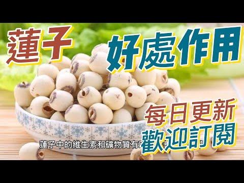 EP153 蓮子 lotus seeds 的好處與作用 清熱解毒 鎮靜安神 健康  養生 天然 食療