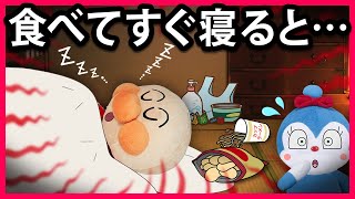 【食べてすぐ寝ると...💤】コキンちゃんの注意も聞かないで寝てしまっアンパンマン！目を覚ますと大変なことが起きていた！😱　寸劇　Anpanman