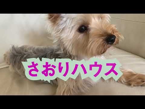 さおりハウス（ご挨拶）