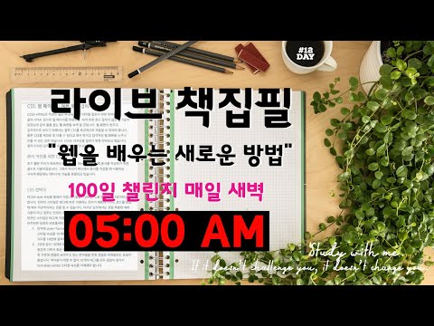 라이브 책집필 (12일차) | 100일 챌린지 | 미라클모닝 | 웹을 배우는 새로운 방법 | Live | Early morning study with me | Writing