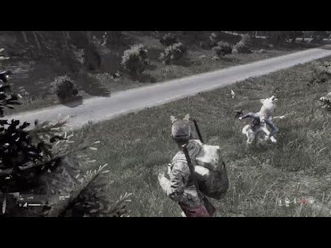 "Snow Dog" 【 DayZ  】Funny Clip ► PS5 Gameplay