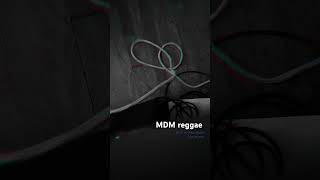 MDM MilwaukeeDubMassive #reggaetonclubmix  #music #dub #milwaukee #dance