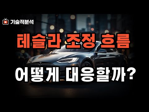 테슬라 엔비디아 SOXL 이어지는 조정 흐름 ｜이렇게만 대응하세요!