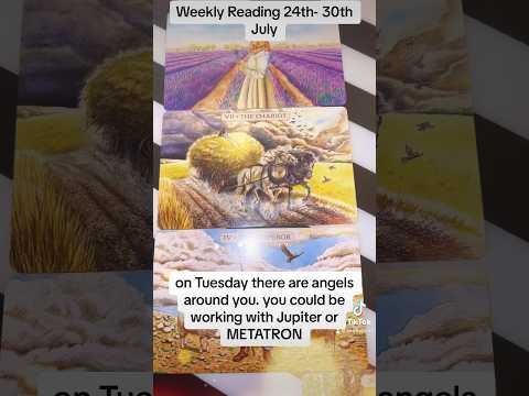 Weekly reading #predictions #tarotcardreading #tarot #tarotreader #tarotreading #predictions #love