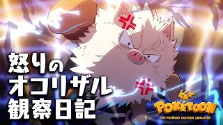 【公式】ポケモンアニメ「怒りのオコリザル観察日記」【POKÉTOON】