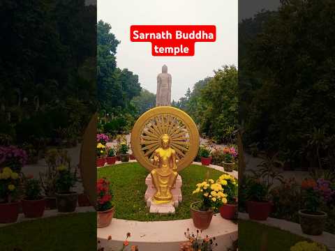 #shotrs sarnath Buddha temple! #budha #sarnath #temple #trending #reels