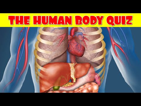 Human Body Quiz | How Much Do You Know About the Human Body?