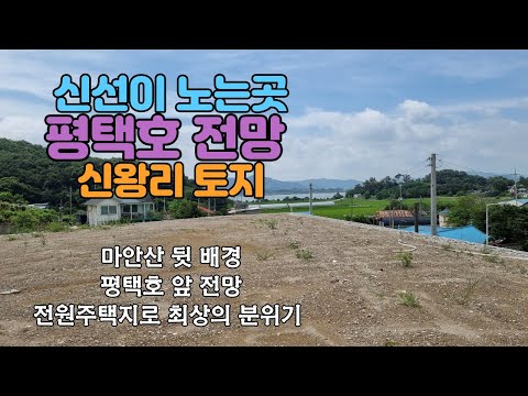 평택호전망 신왕리토지 매매(010.6638.6807)