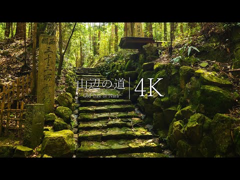 [Japan's oldest road] Visit the mountain road | Ishigami Shrine → Enshoji - JAPAN in 4K