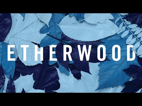 Artist Mix - Etherwood (Liquid Drum and Bass Mix)