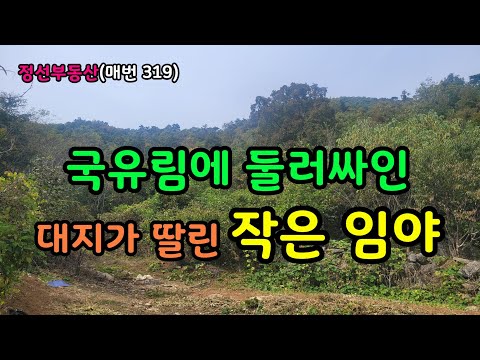 국유림에 둘러싸인 대지가 딸린 작은 임야 / 정선토지박사