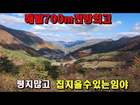 해발700m전망최고/평지많고집지을수있는임야/7,500평/전제보전관리/전기물인입수월/정선부동산매매/강원도임야/정선토지매매