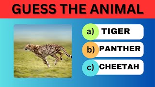 GUESS THE ANIMAL QUIZ | 2024 EDITION