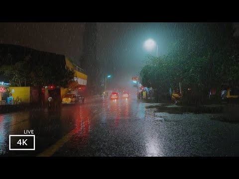 99% of You Will Fall Asleep With Rain Sound | ASMR Rain Walks Compilation for Sleep and Meditation