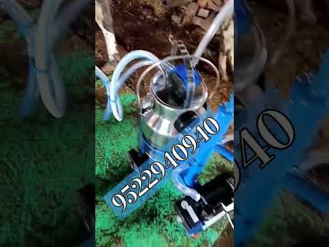 milking machine #youtubers #milking #shortvideo #agriculture #kisan #milk