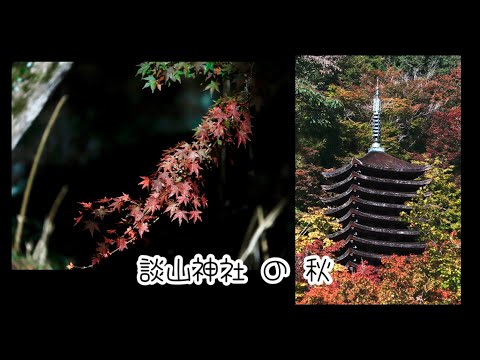 大化の改新で有名な文化遺産　談山神社🍁の秋　2024年11月13日