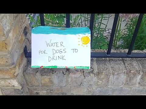 영국 길 거리 지나가는 개들 마시라고 놔두는 물, water for dogs to drink in uk