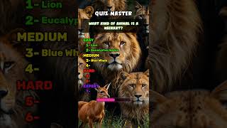 Animal quiz 2