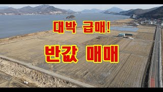 최저가 강화도농지급매 귀농.대토.스마트팜.치유농원.체험학습.투자 강화도토지급매