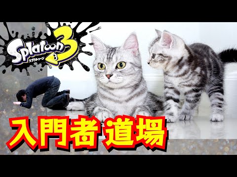 【スプラトゥーン３】入門者道場「子猫のにゃーを鼓舞する会」 2024/03/25