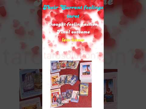 Person on mind current feeling tarot.  Timeless reading. Their current feeling for you.