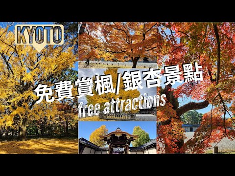 [Kyoto] free attractions 東本願寺 Higashi Honganji & 京都御苑 Kyotogyoen & 西本願寺 Nishi Honganji