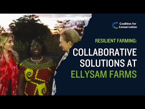 Resilient Farming Collaborative Solutions at EllySam Farms