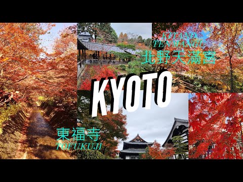 [Kyoto] 日本京都紅葉 Autumn leaves 北野天滿宮 Kitano Tenmangu & 東福寺 Tofukuji