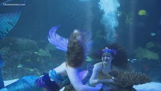 Mermaids coming to the Virginia Aquarium in Virginia Beach!