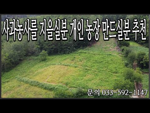 정선부동산 화암면 석곡리전/ 임야 전망 좋은곳 약5580평 사찰부지,  사과, 호두 과수원 농사 짓기 좋은곳. 매매가 평당 6만원 절충가은한곳 010-9379-1146