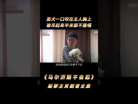 惡犬一口咬在主人胸上，被吊起來半米都不撒嘴，訓犬師卻替狗辯解#shorts