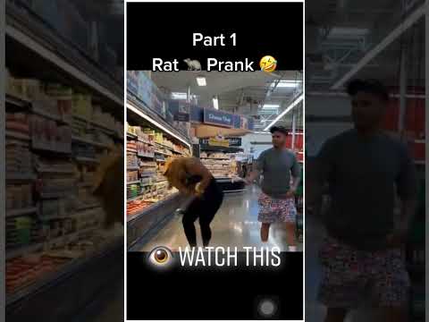 How to prank #rat #prank #foryou #fyp #comedy #prankchannel #scare #shorts