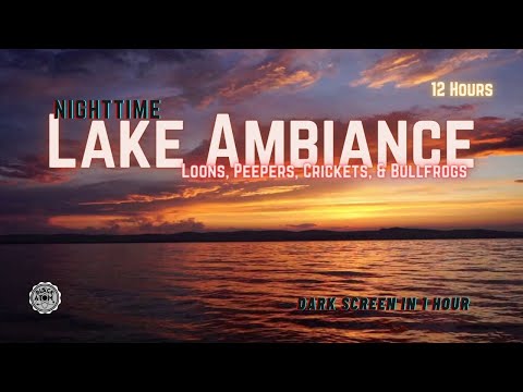 Lake Serenity: Relaxing Sleep Sounds with Bullfrogs, Peepers, Loons, crickets, and Gentle Waves