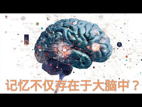 重大发现！科学家证实：部分记忆存在于大脑之外的细胞，看来器官移植带原主人记忆不是空穴来风