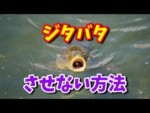 ◆知っ得◆雑学　まな板の上の鯉が暴れない理由🎏🐟 　◆知っ得◆雑学