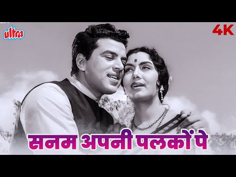 4K - Sanam Apni Palko Pe Video Song | सनम अपनी पलकों पे | Mohammed Rafi | Madan Mohan | Dharmendra