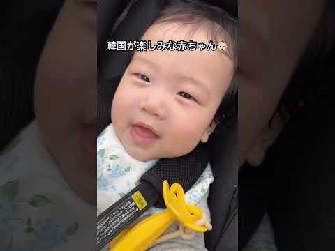 2度目の韓国帰省が楽しみな赤ちゃん👶🏻#赤ちゃん #赤ちゃんのいる生活 #日韓ハーフ#かわいい #韓国旅行 #baby #shorts