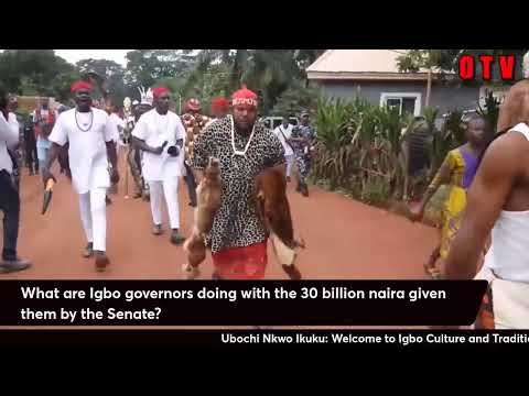 Hunger Period: What are Igbo governors doing with the 30 billion naira given by the Senate?